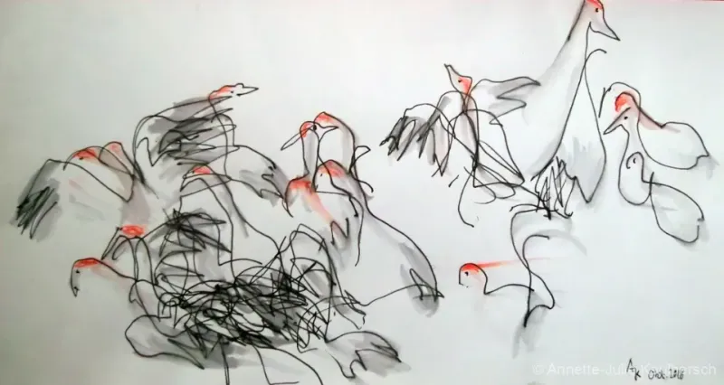 cranes_1